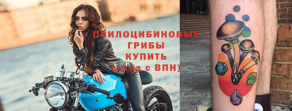 spice Алзамай