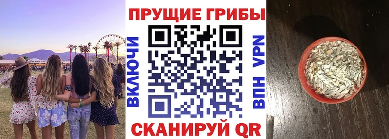 MEGA онион  Камызяк  Псилоцибиновые грибы Magic Shrooms  где купить наркоту 