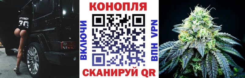 МЕГА ссылка  Камызяк  Каннабис SATIVA & INDICA 
