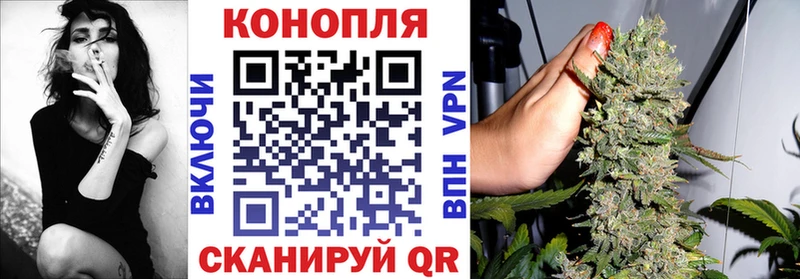 Марихуана тримм Камызяк